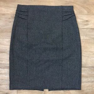 Express Pencil Skirt